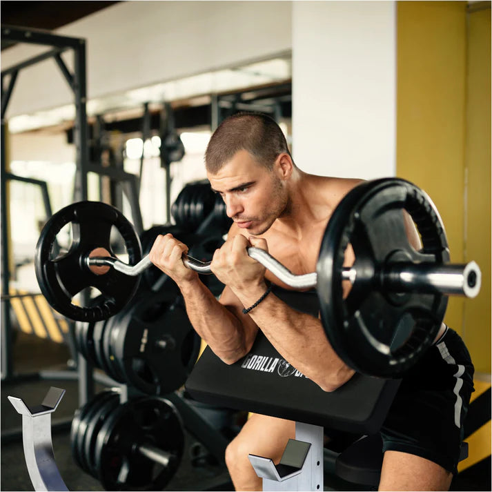 Preacher Curl Bænk