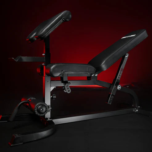Træningsbænk / Biceps Og Legcurlstation
