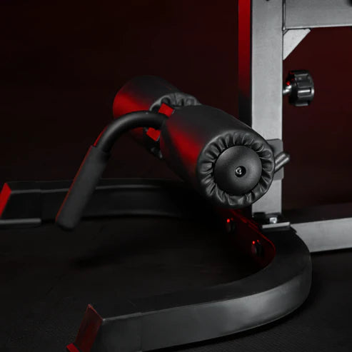 Træningsbænk / Biceps Og Legcurlstation