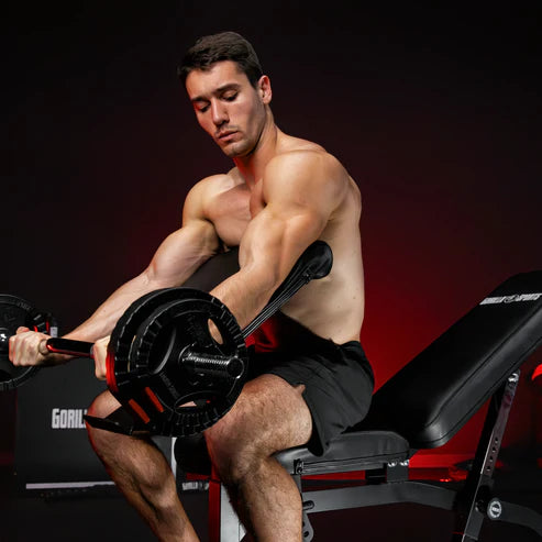 Træningsbænk / Biceps Og Legcurlstation från Gorilla Sports
