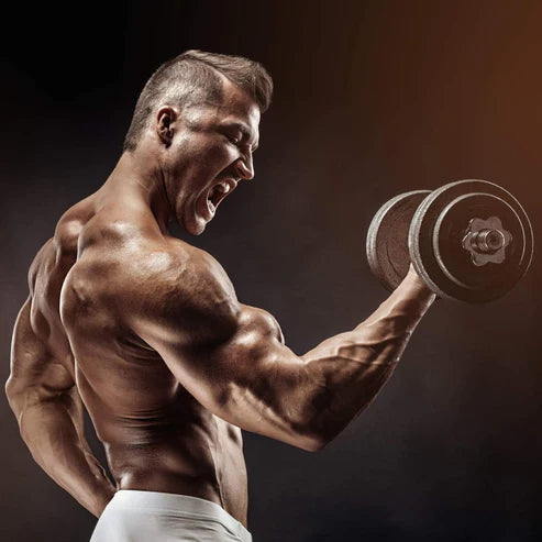 Håndvægte Movit støbejern 2x10kg