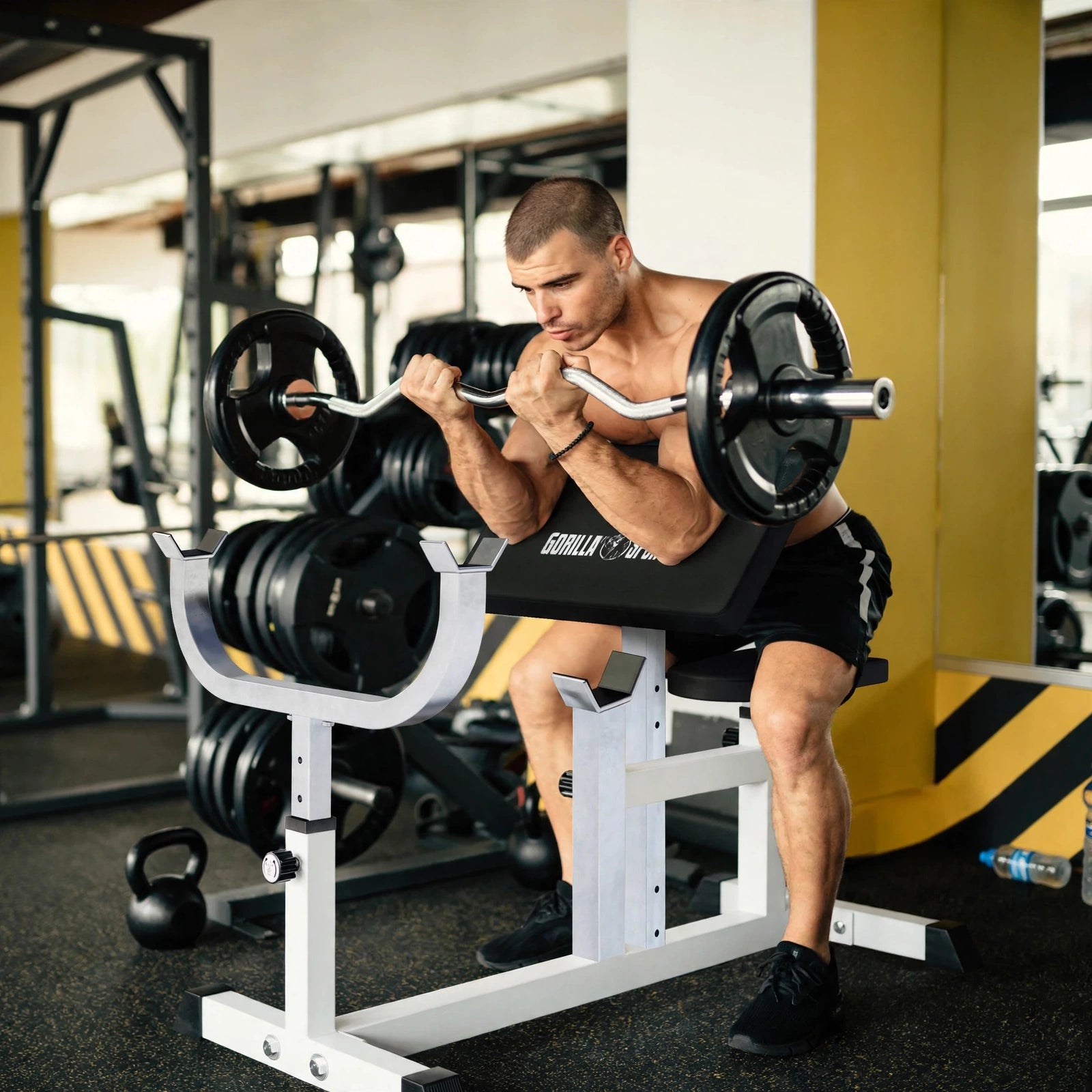 Preacher Curl Bænk från Gorilla Sports