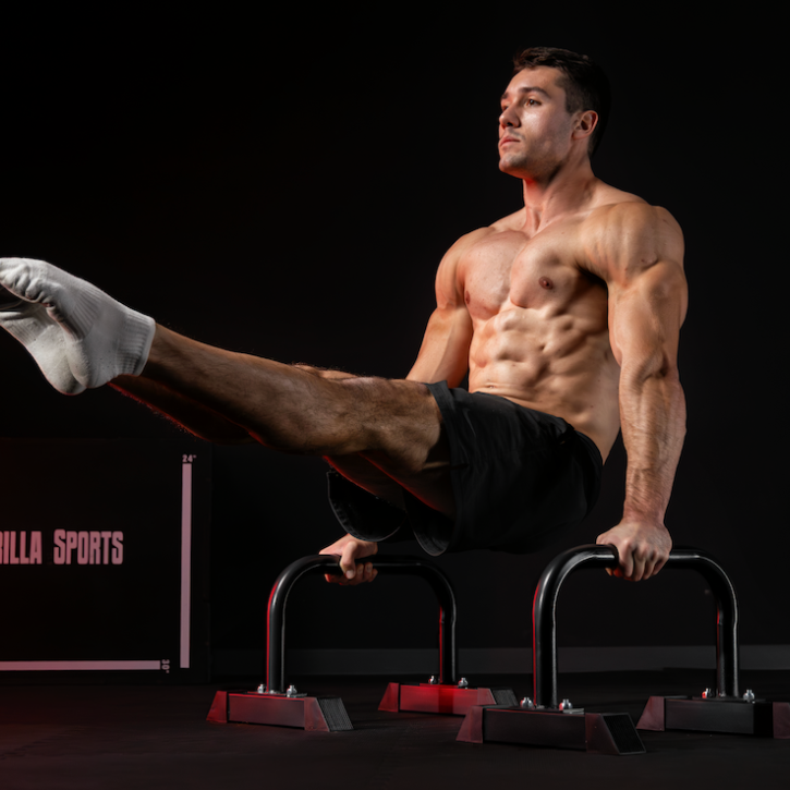 Parallette Push Up Bars Low