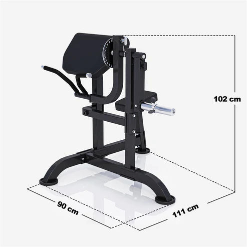 Curl bænk Preacher Curl MAXXUS