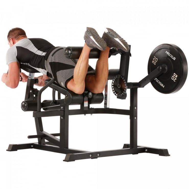 Leg Extension MAXXUS Multi Trainer