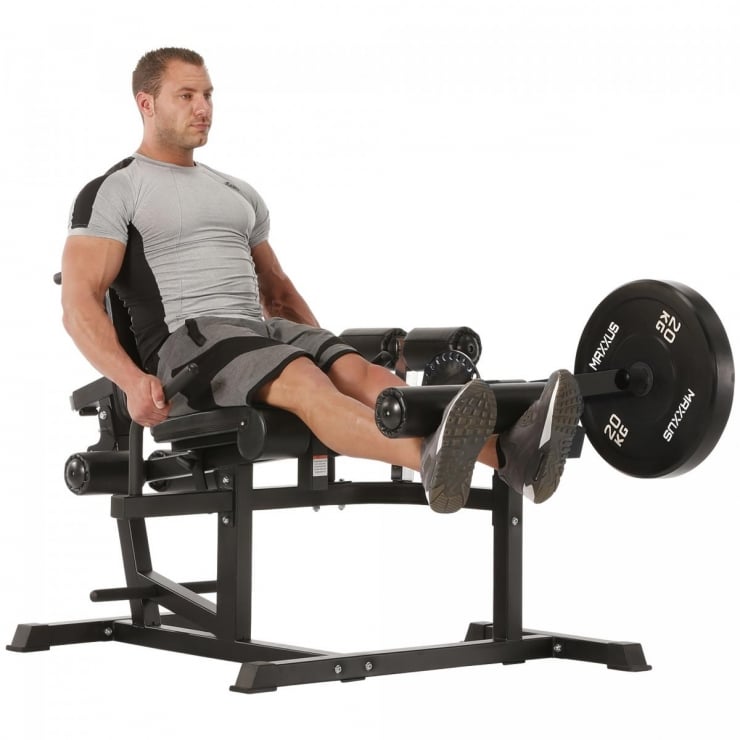 Leg Extension MAXXUS Multi Trainer