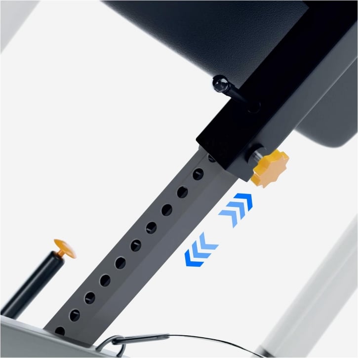 Inversion Table MAXXUS Gravity Pro 2