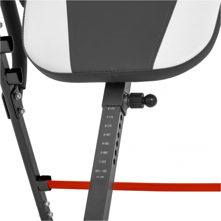  Inversion Table
