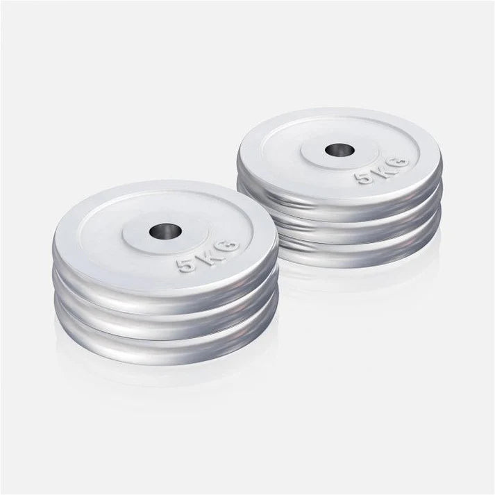 VÆGTSKIVER CHROME 6X5 KG