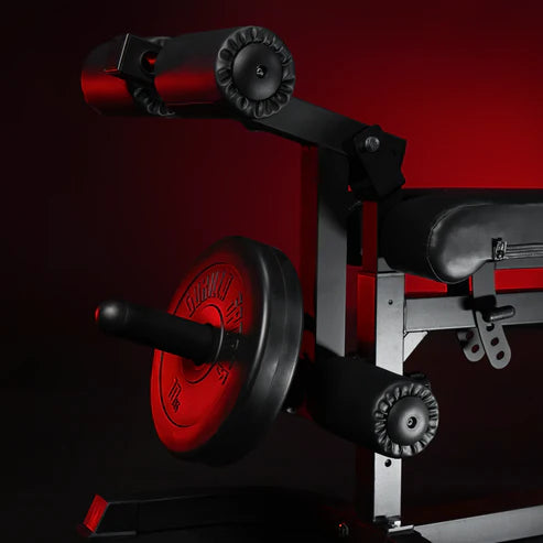  Træningsbænk / Biceps Og Legcurlstation