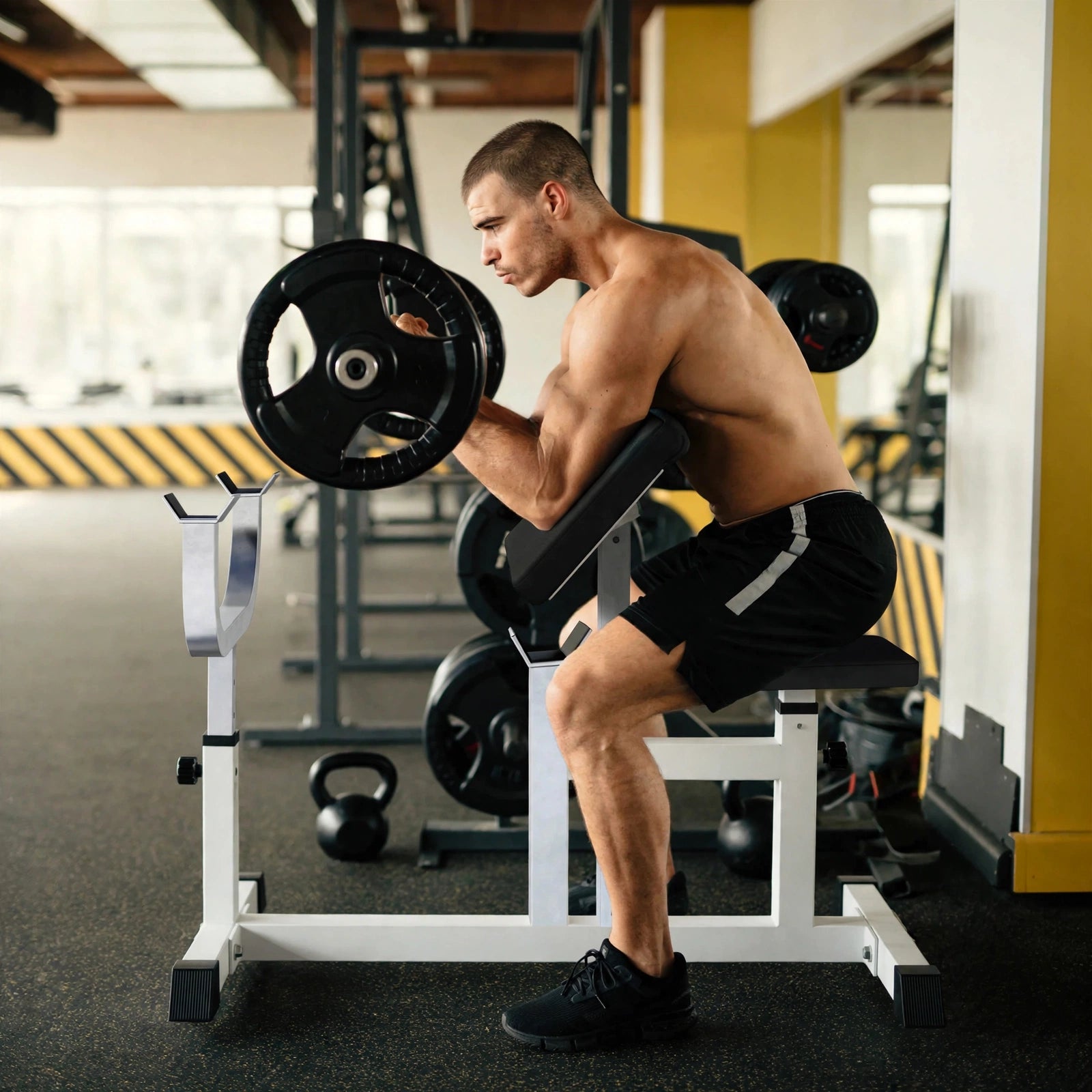 Preacher Curl Bænk från Gorilla Sports