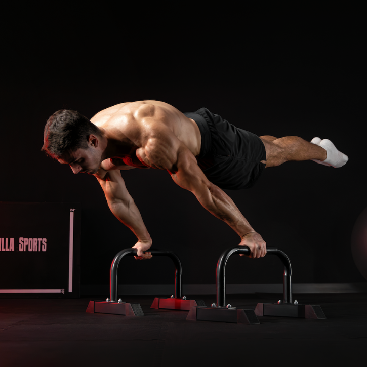 Parallette Push Up Bars Low