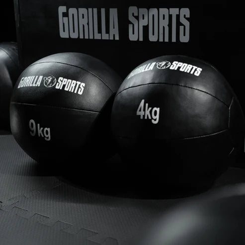 Wall Ball PRO 1-10 kg