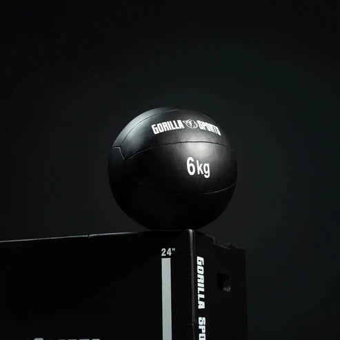 Wall Ball PRO 1-10 kg