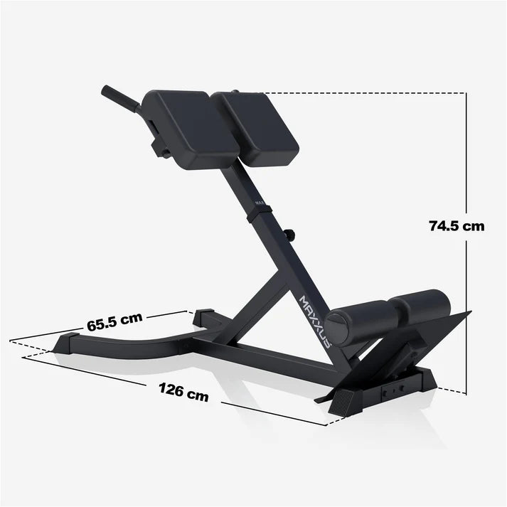Hyperextension MAXXUS Bænk