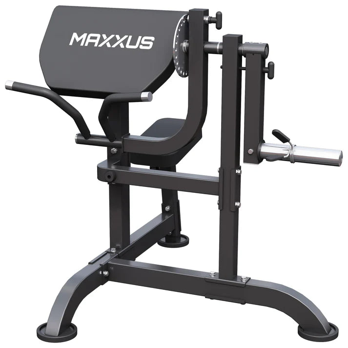 Curl bænk Preacher Curl MAXXUS