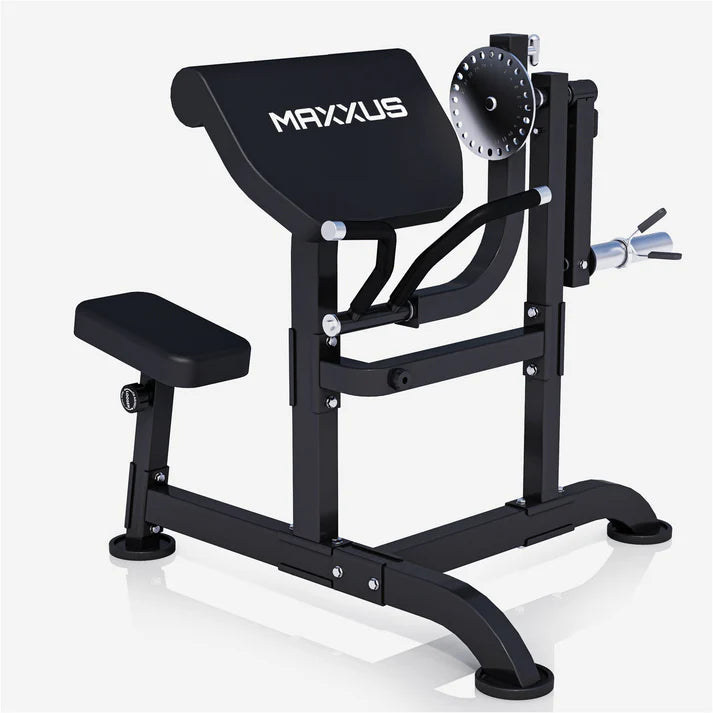 Curl bænk Preacher Curl MAXXUS