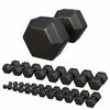 Håndvægte Hexagon PREMIUM 2-50 kg
